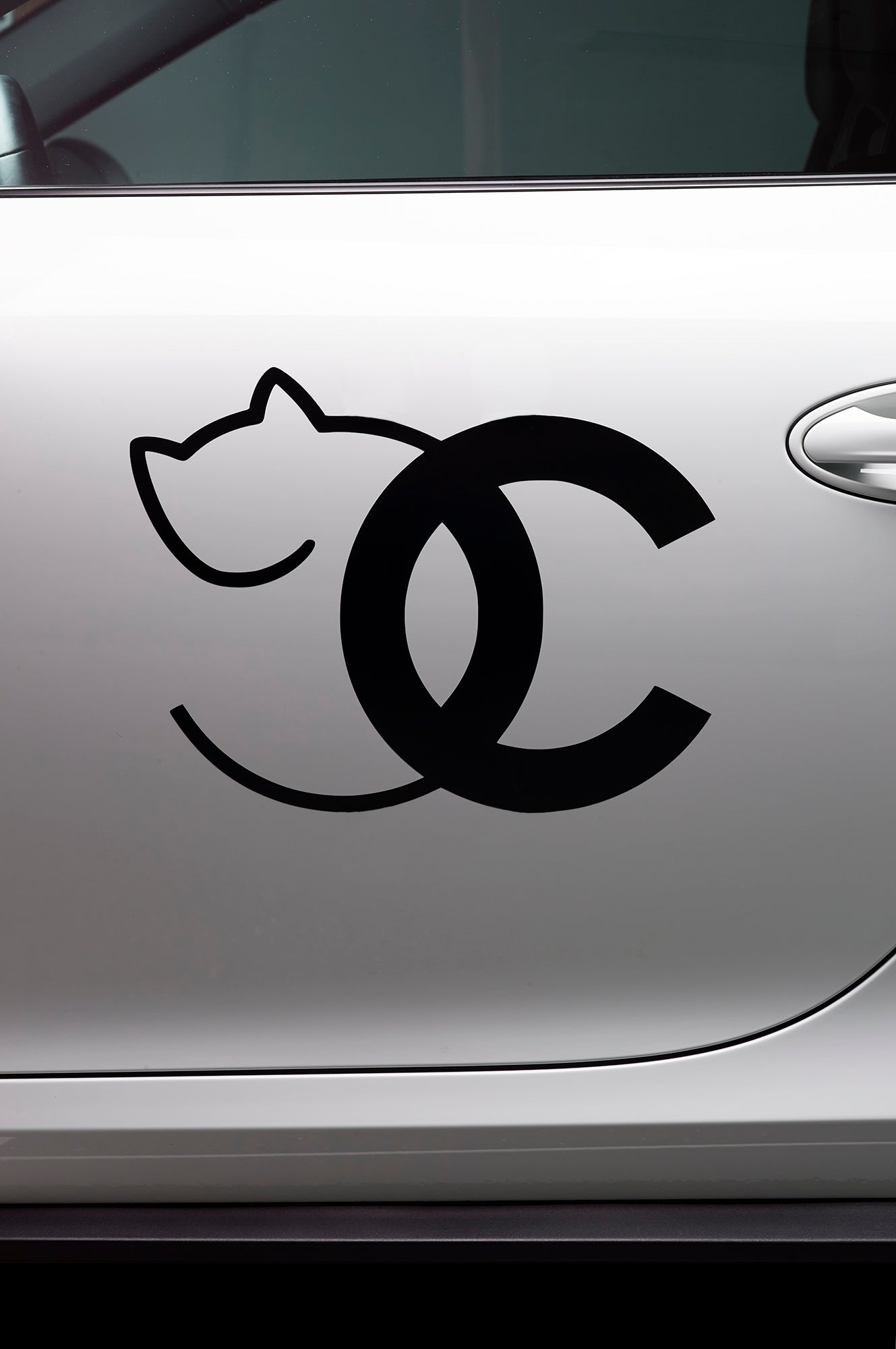 Cats N Cars Vinyl Decals