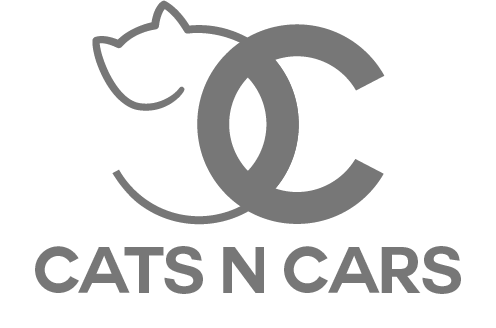 Cats N Cars